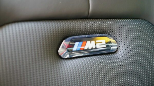 Badge on BMW front seat back rest
